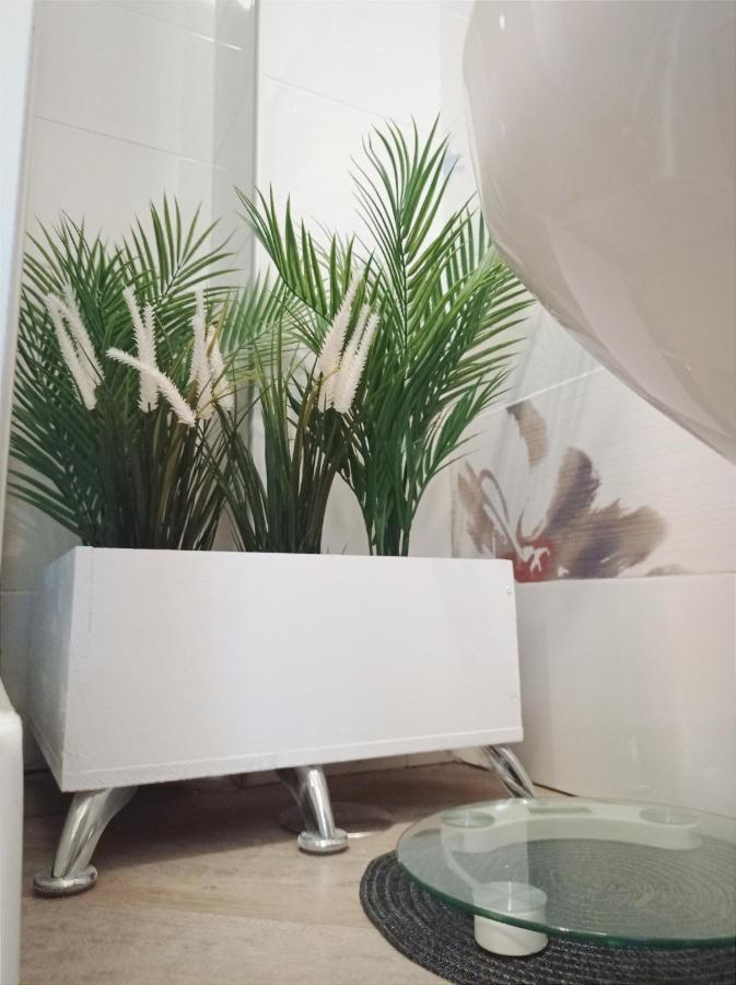 Domus Pio XI Bed & Breakfast Rome Luaran gambar